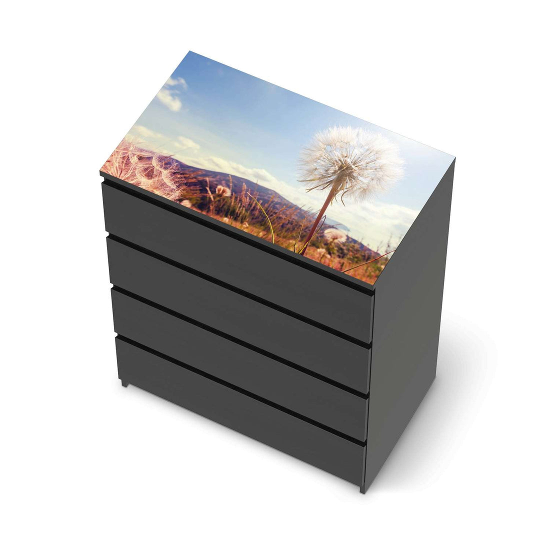 Möbelfolie Dandelion - IKEA Malm Kommode 4 Schubladen [oben] - schwarz