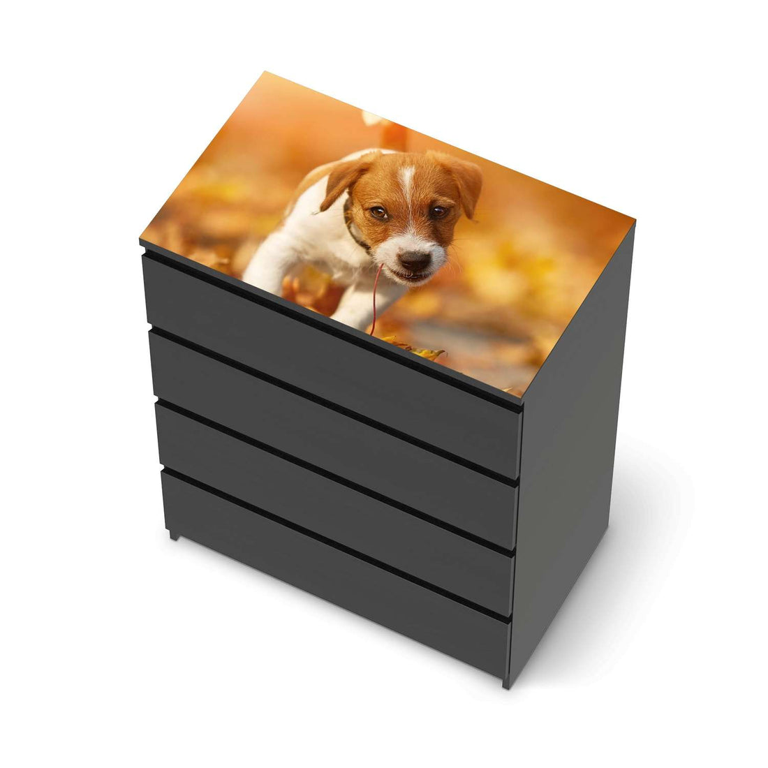 Möbelfolie Jack the Puppy - IKEA Malm Kommode 4 Schubladen [oben] - schwarz
