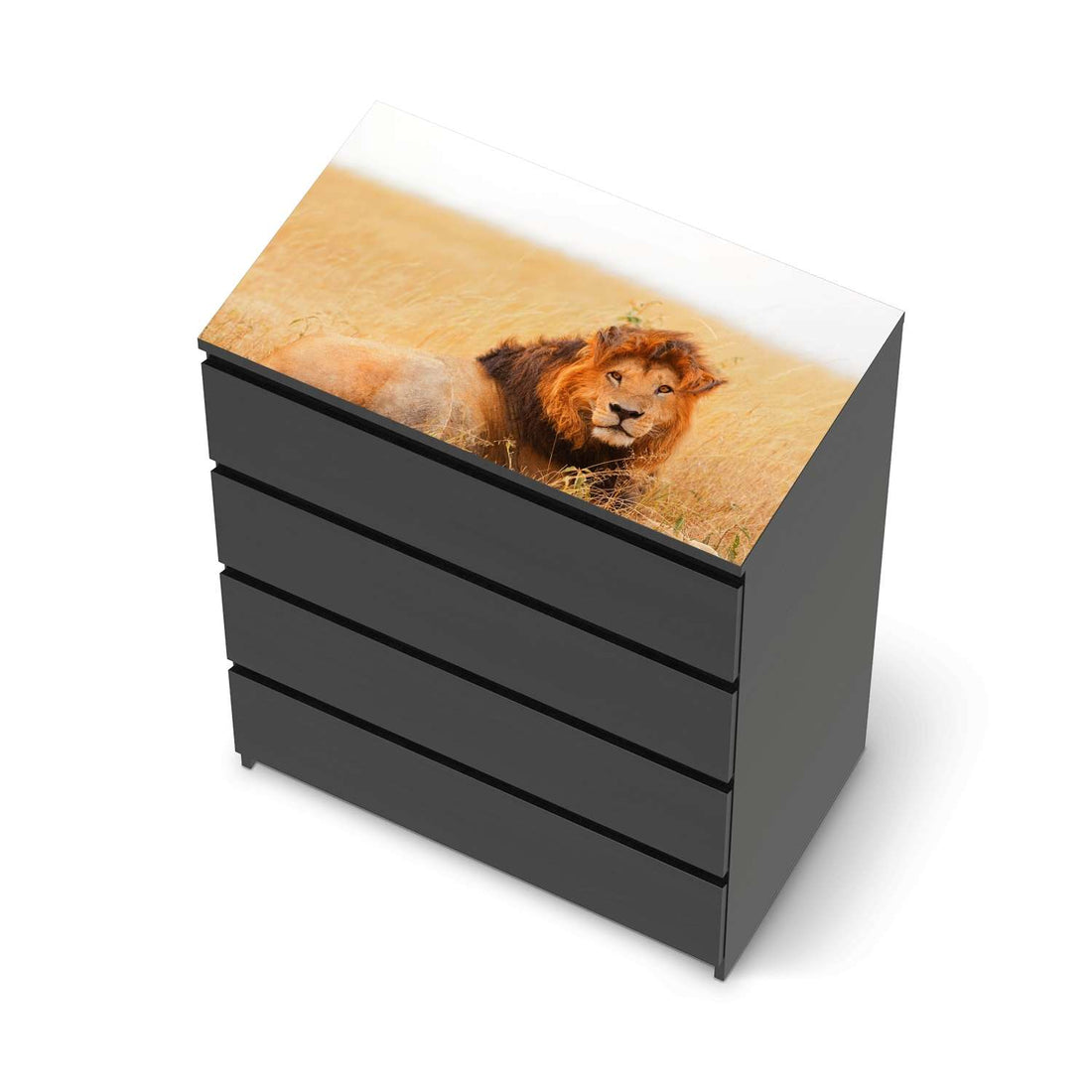 Möbelfolie Lion King - IKEA Malm Kommode 4 Schubladen [oben] - schwarz