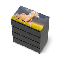 Möbelfolie Wildpferd - IKEA Malm Kommode 4 Schubladen [oben] - schwarz