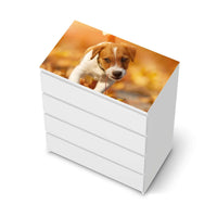 Möbelfolie Jack the Puppy - IKEA Malm Kommode 4 Schubladen [oben] - weiss
