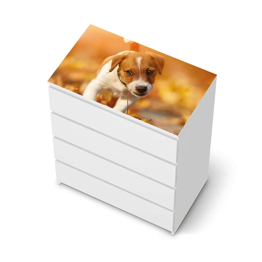 Möbelfolie Jack the Puppy - IKEA Malm Kommode 4 Schubladen [oben] - weiss