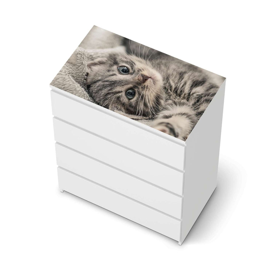 Möbelfolie Kitty the Cat - IKEA Malm Kommode 4 Schubladen [oben] - weiss