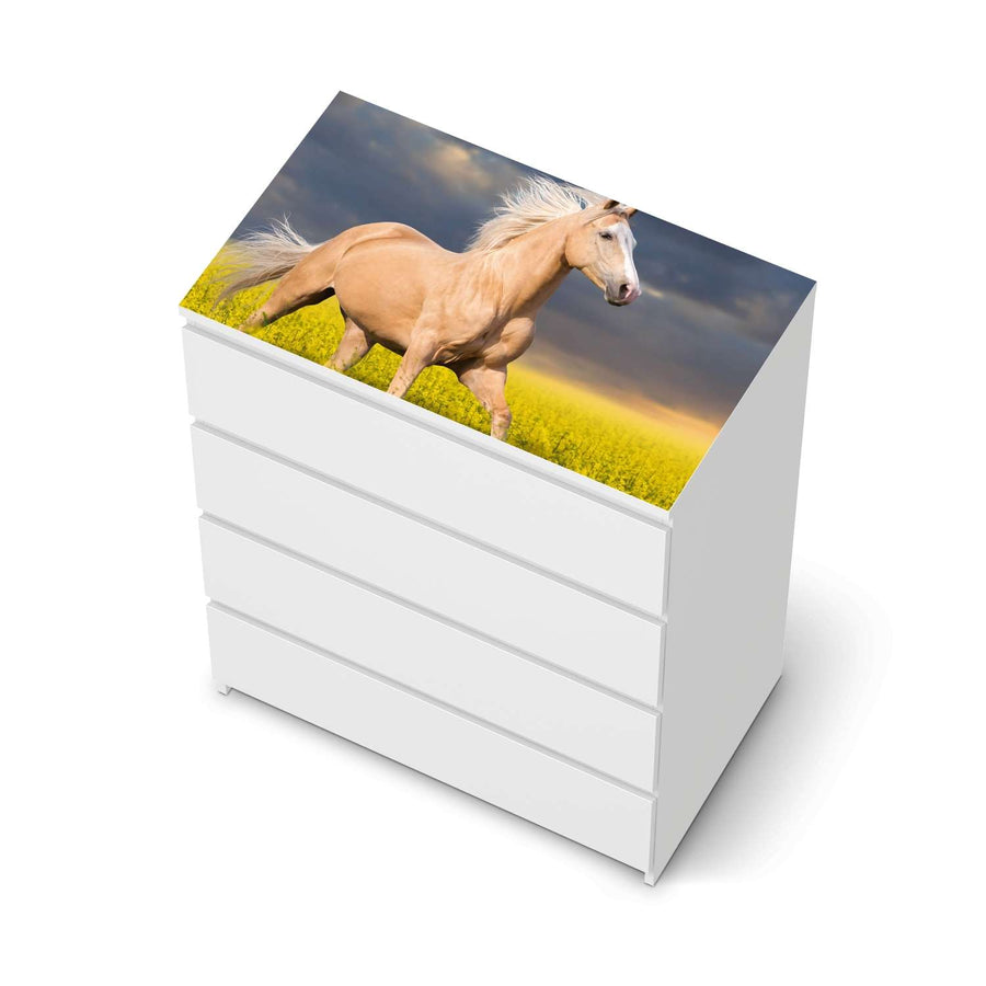 Möbelfolie Wildpferd - IKEA Malm Kommode 4 Schubladen [oben] - weiss