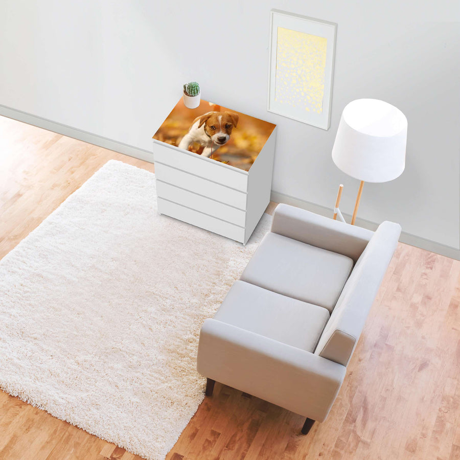 Möbelfolie Jack the Puppy - IKEA Malm Kommode 4 Schubladen [oben] - Wohnzimmer