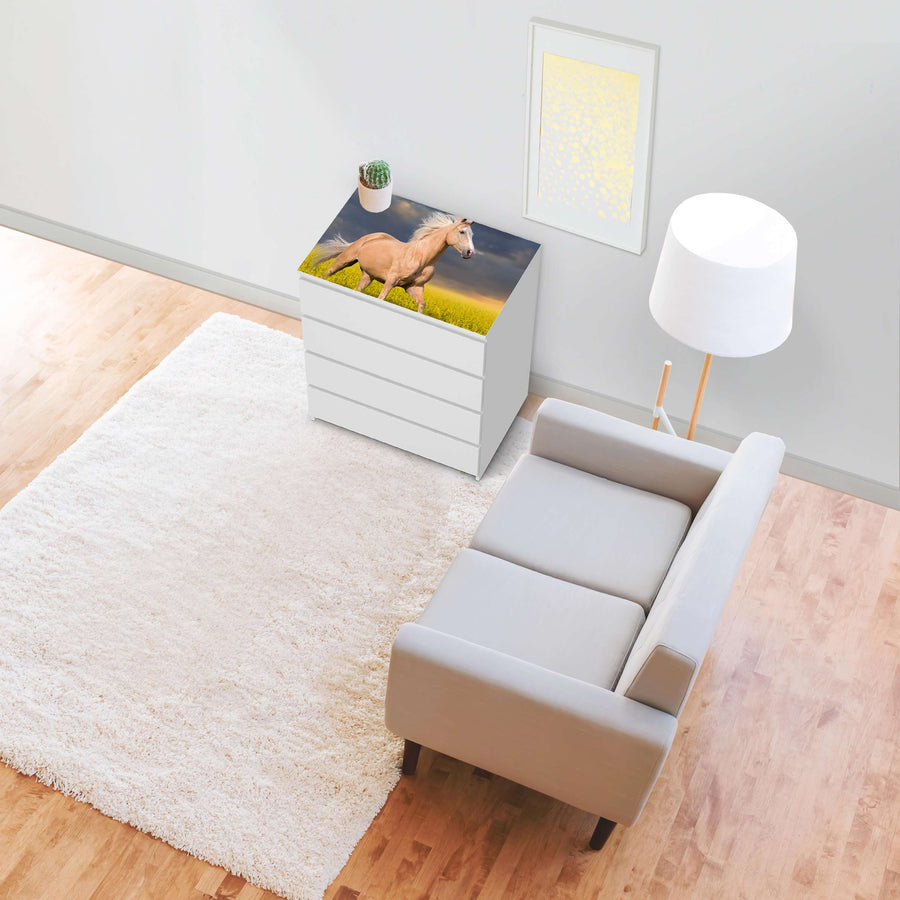 Möbelfolie Wildpferd - IKEA Malm Kommode 4 Schubladen [oben] - Wohnzimmer