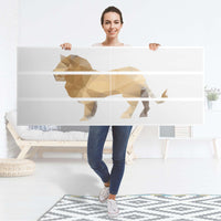 Möbelfolie Origami Lion - IKEA Malm Kommode 6 Schubladen (breit) - Folie