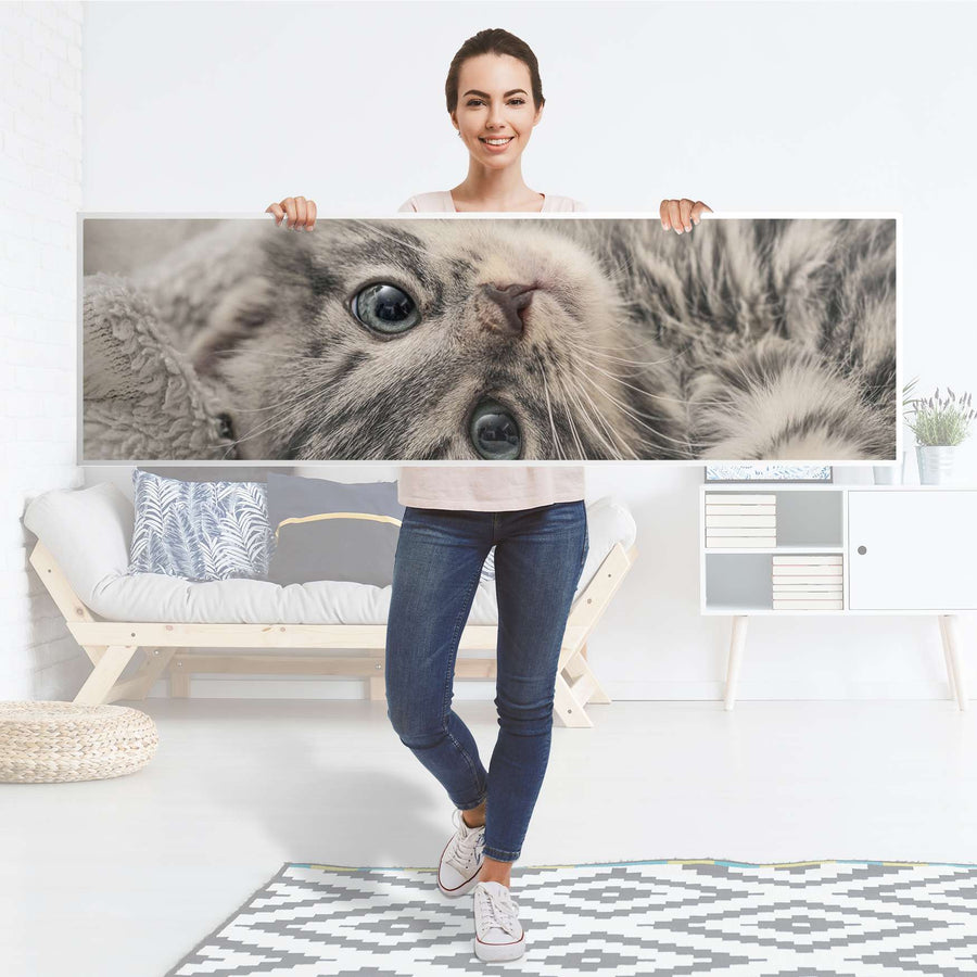 Möbelfolie Kitty the Cat - IKEA Malm Kommode 6 Schubladen (breit) [oben] - Folie