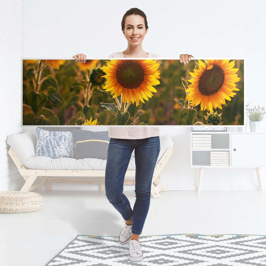 Möbelfolie Sunflowers - IKEA Malm Kommode 6 Schubladen (breit) [oben] - Folie