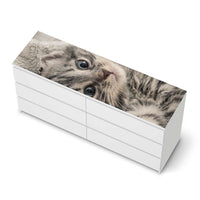 Möbelfolie Kitty the Cat - IKEA Malm Kommode 6 Schubladen (breit) [oben] - weiss