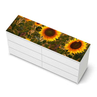 Möbelfolie Sunflowers - IKEA Malm Kommode 6 Schubladen (breit) [oben] - weiss