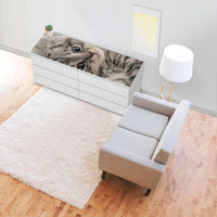Möbelfolie Kitty the Cat - IKEA Malm Kommode 6 Schubladen (breit) [oben] - Wohnzimmer