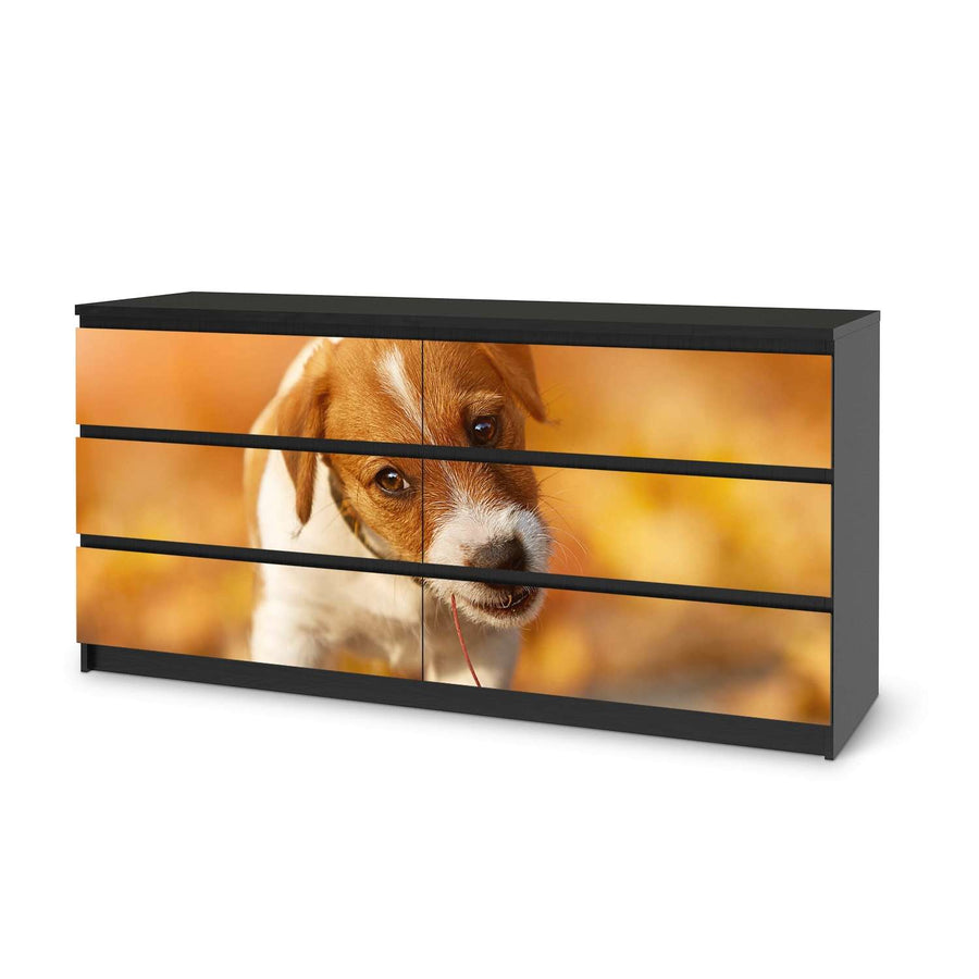 Möbelfolie Jack the Puppy - IKEA Malm Kommode 6 Schubladen (breit) - schwarz