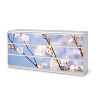 Möbelfolie Apple Blossoms - IKEA Malm Kommode 6 Schubladen (breit)  - weiss