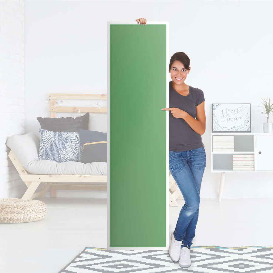 Möbelfolie Grün Light - IKEA Pax Schrank 201 cm Höhe - 1 Tür - Folie