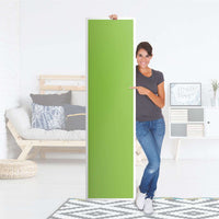 Möbelfolie Hellgrün Dark - IKEA Pax Schrank 201 cm Höhe - 1 Tür - Folie