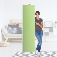 Möbelfolie Hellgrün Light - IKEA Pax Schrank 201 cm Höhe - 1 Tür - Folie