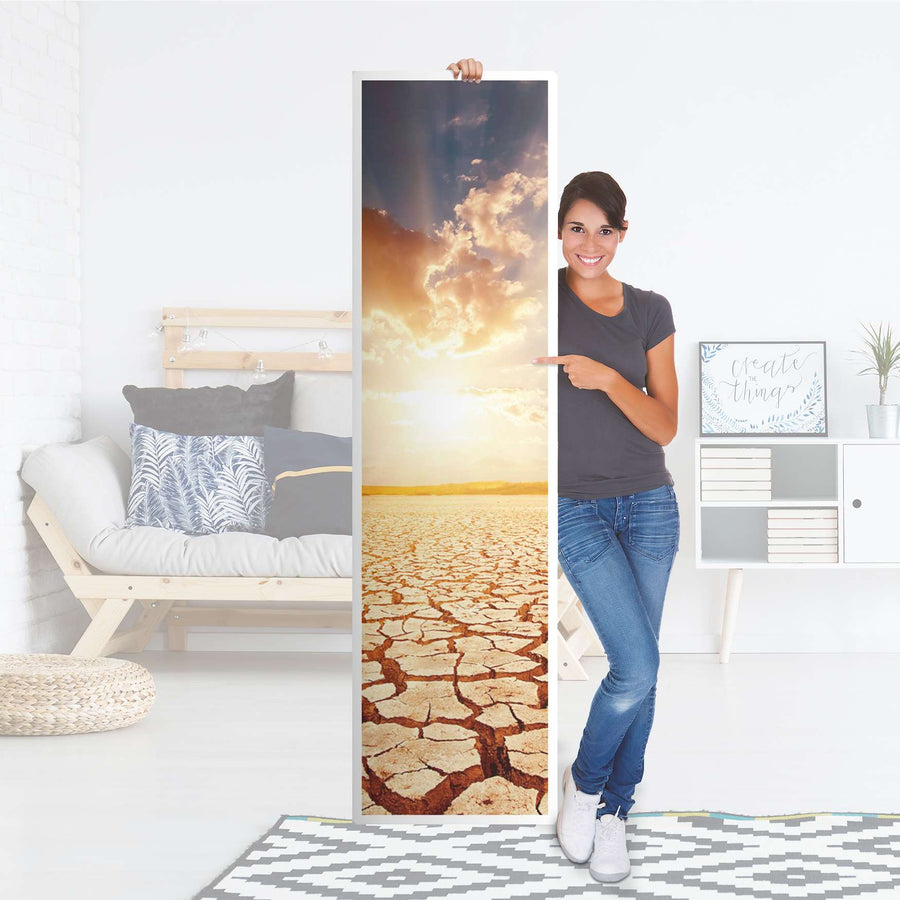 Möbelfolie Savanne - IKEA Pax Schrank 201 cm Höhe - 1 Tür - Folie