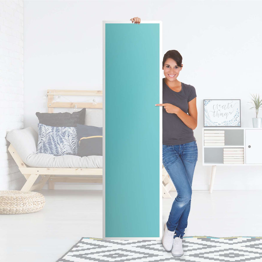 Möbelfolie Türkisgrün Light - IKEA Pax Schrank 201 cm Höhe - 1 Tür - Folie