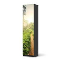 Möbelfolie Green Tea Fields - IKEA Pax Schrank 201 cm Höhe - 1 Tür - schwarz