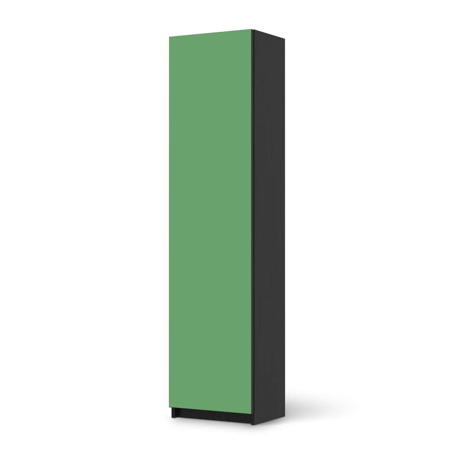 Möbelfolie Grün Light - IKEA Pax Schrank 201 cm Höhe - 1 Tür - schwarz