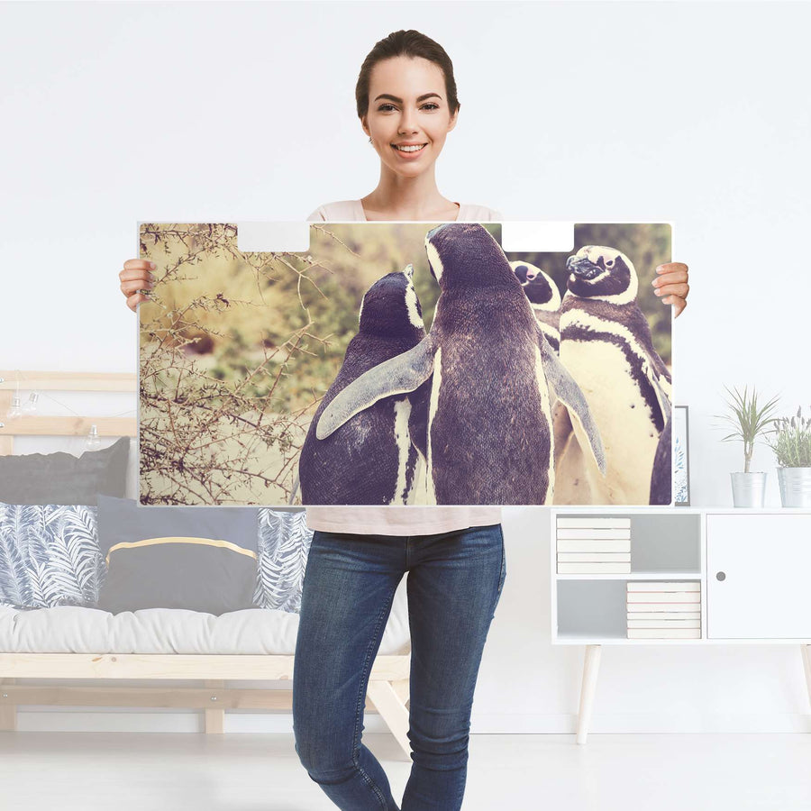 Möbelfolie Pingu Friendship - IKEA Stuva Banktruhe - Folie