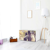 Möbelfolie Pingu Friendship - IKEA Stuva / Fritids Bank mit Kasten - Kinderzimmer