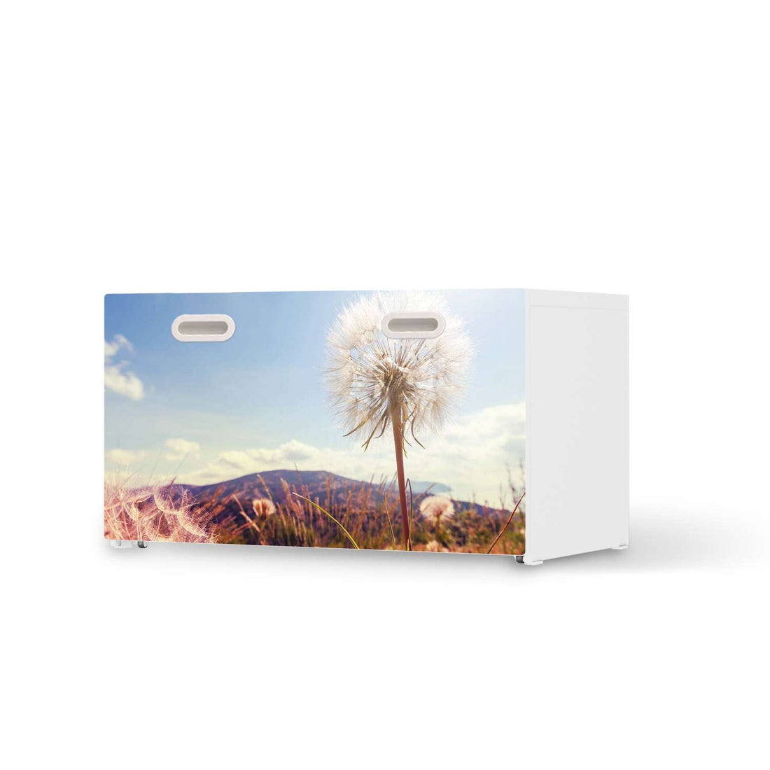 Möbelfolie Dandelion - IKEA Stuva / Fritids Bank mit Kasten  - weiss