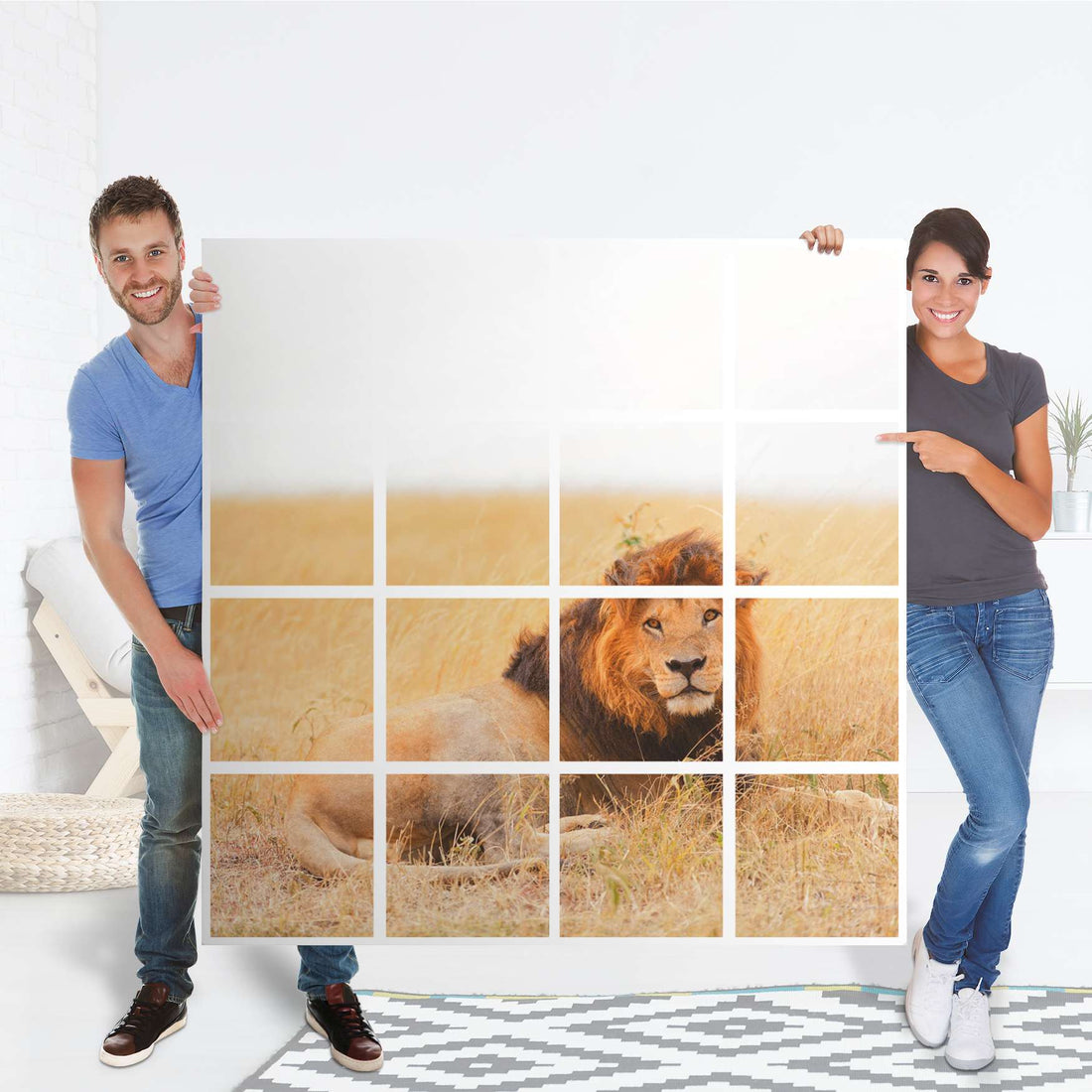 Selbstklebende Folie Lion King - IKEA Expedit Regal 16 Türen - Folie