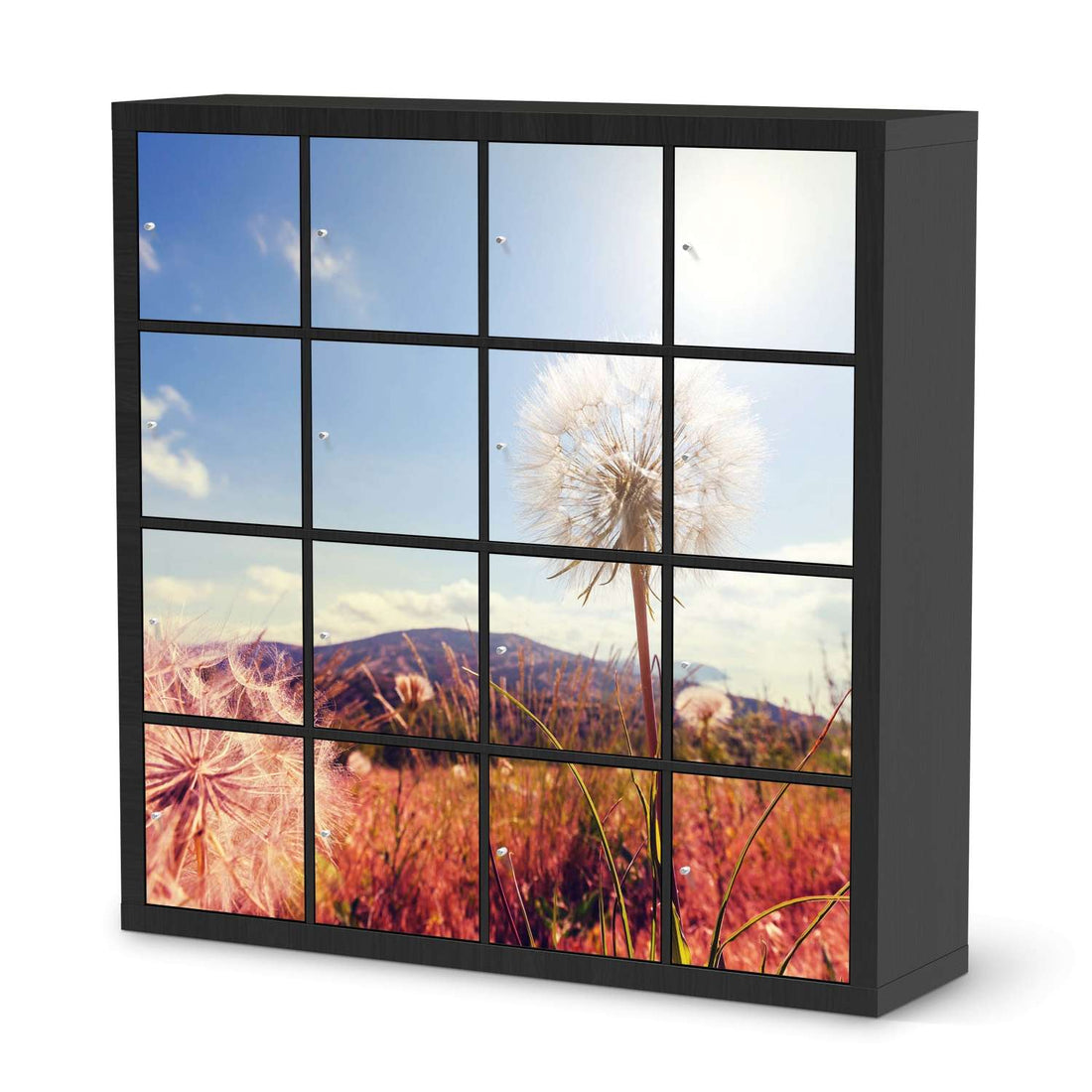 Selbstklebende Folie Dandelion - IKEA Expedit Regal 16 Türen - schwarz