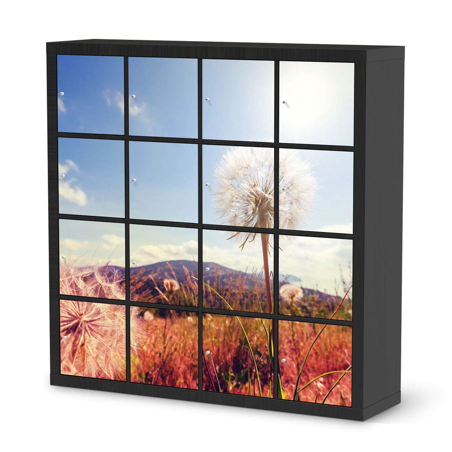 Selbstklebende Folie Dandelion - IKEA Expedit Regal 16 Türen - schwarz