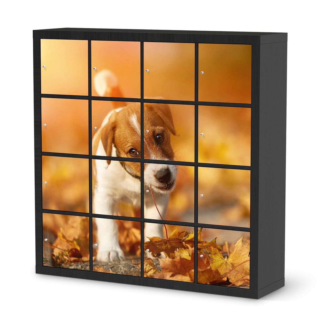 Selbstklebende Folie Jack the Puppy - IKEA Expedit Regal 16 Türen - schwarz