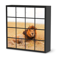 Selbstklebende Folie Lion King - IKEA Expedit Regal 16 Türen - schwarz