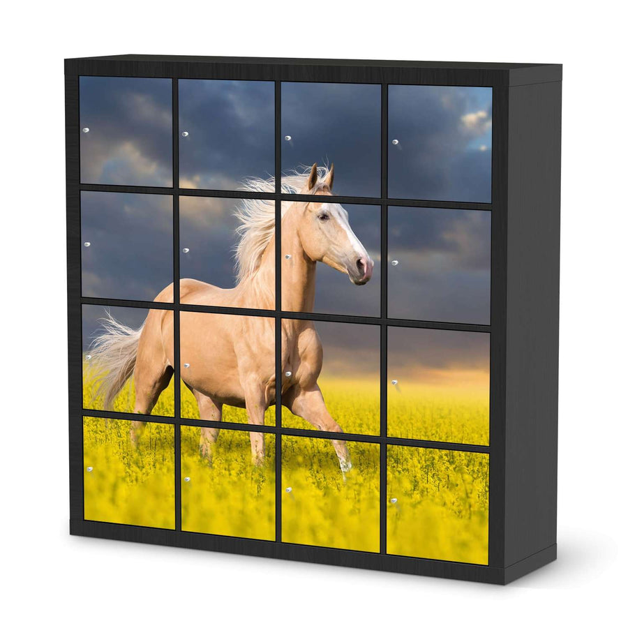 Selbstklebende Folie Wildpferd - IKEA Expedit Regal 16 Türen - schwarz