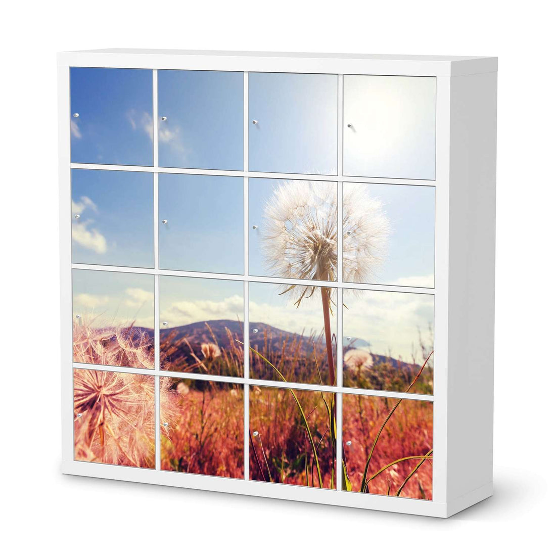 Selbstklebende Folie Dandelion - IKEA Expedit Regal 16 Türen  - weiss