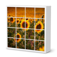 Selbstklebende Folie Sunflowers - IKEA Expedit Regal 16 Türen  - weiss