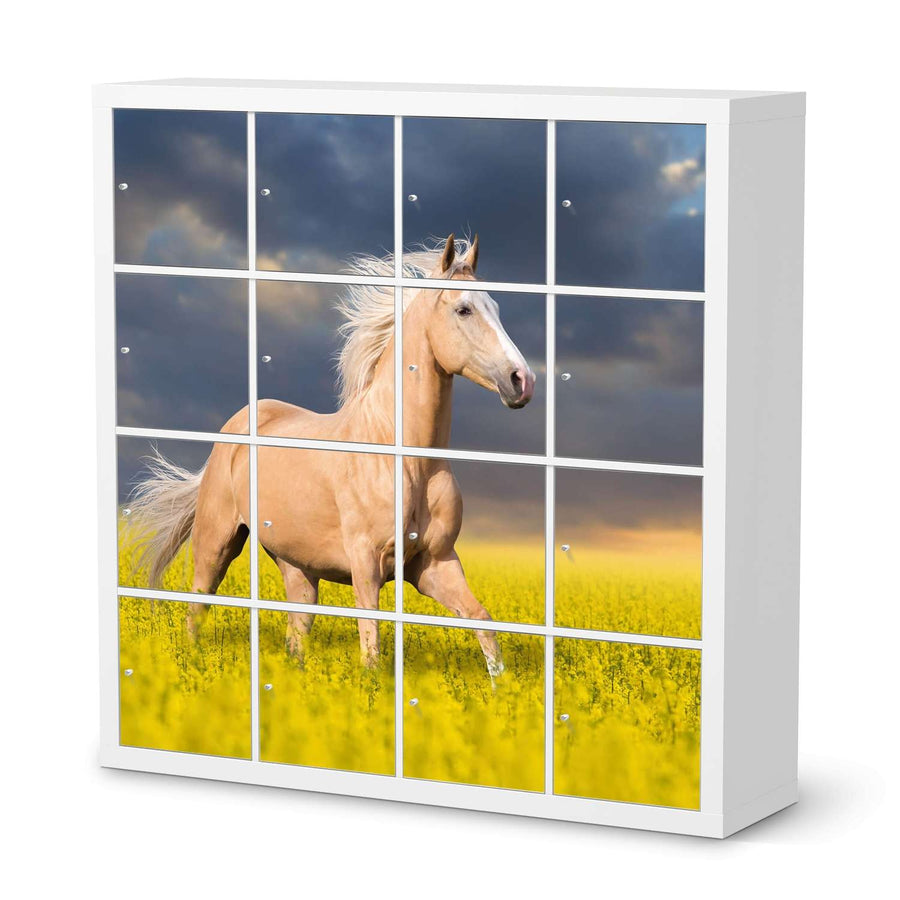 Selbstklebende Folie Wildpferd - IKEA Expedit Regal 16 Türen  - weiss