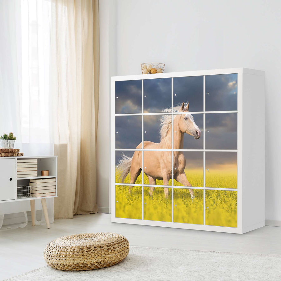 Selbstklebende Folie Wildpferd - IKEA Expedit Regal 16 Türen - Wohnzimmer