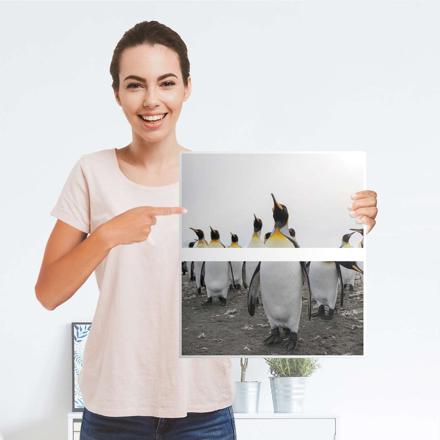 Selbstklebende Folie Penguin Family - IKEA Hemnes Kommode 2 Schubladen - Folie