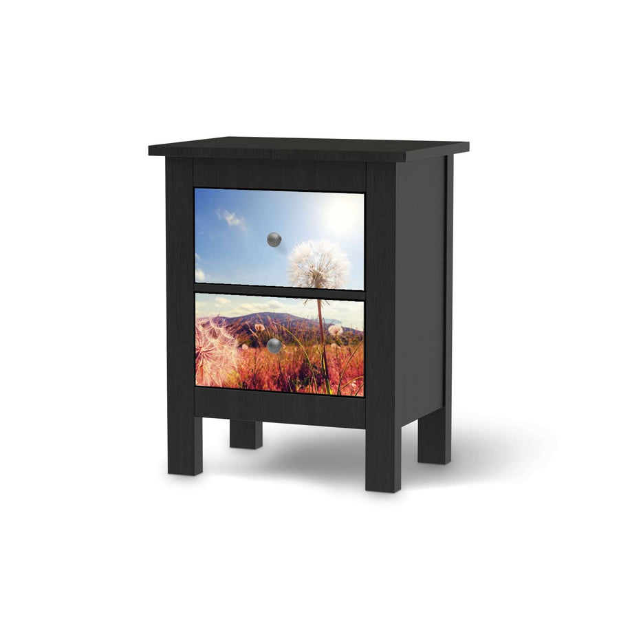 Selbstklebende Folie Dandelion - IKEA Hemnes Kommode 2 Schubladen - schwarz