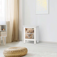 Selbstklebende Folie Simba - IKEA Hemnes Kommode 2 Schubladen - Wohnzimmer