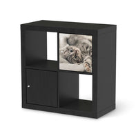 Selbstklebende Folie Kitty the Cat - IKEA Kallax Regal 1 Türe - schwarz