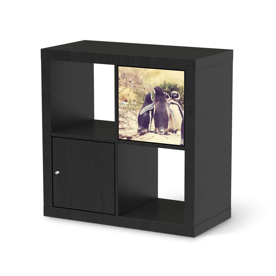 Selbstklebende Folie Pingu Friendship - IKEA Kallax Regal 1 Türe - schwarz