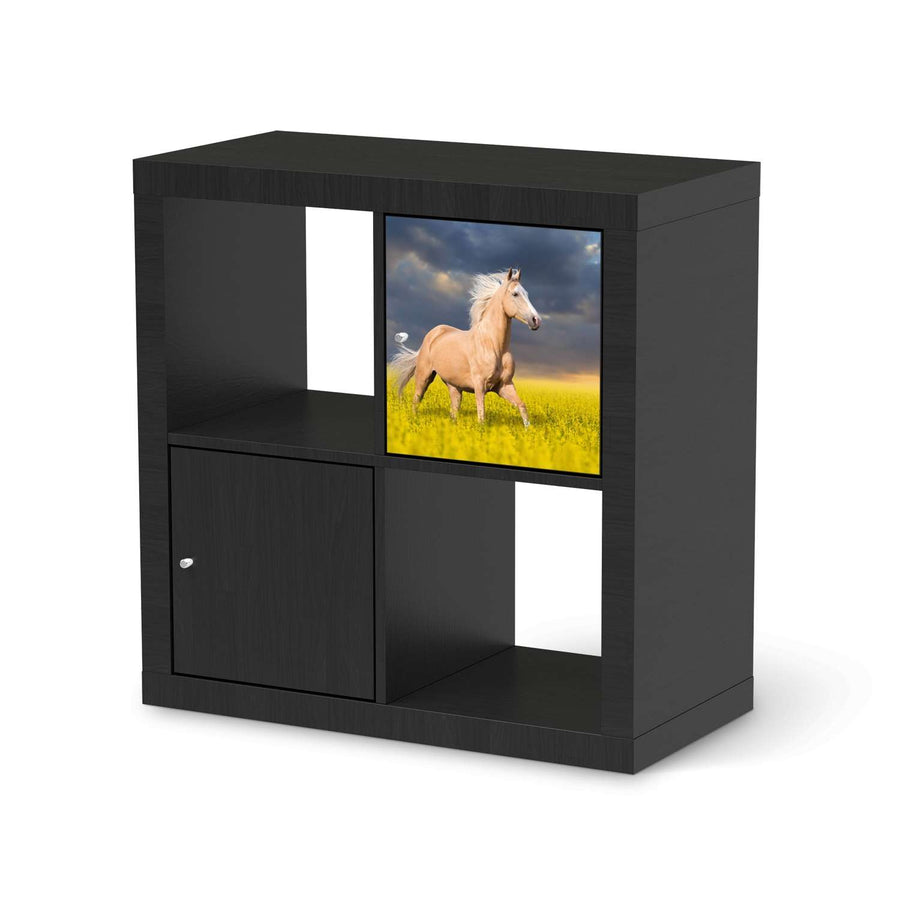 Selbstklebende Folie Wildpferd - IKEA Kallax Regal 1 Türe - schwarz