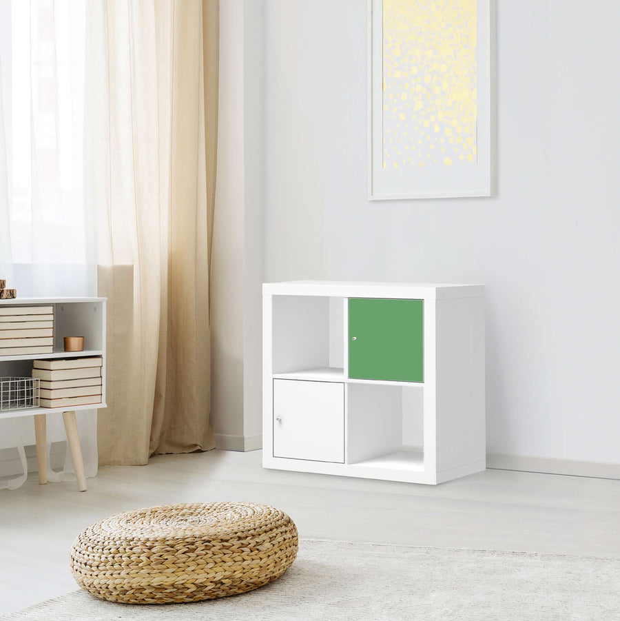 Selbstklebende Folie Grün Light - IKEA Kallax Regal 1 Türe - Wohnzimmer
