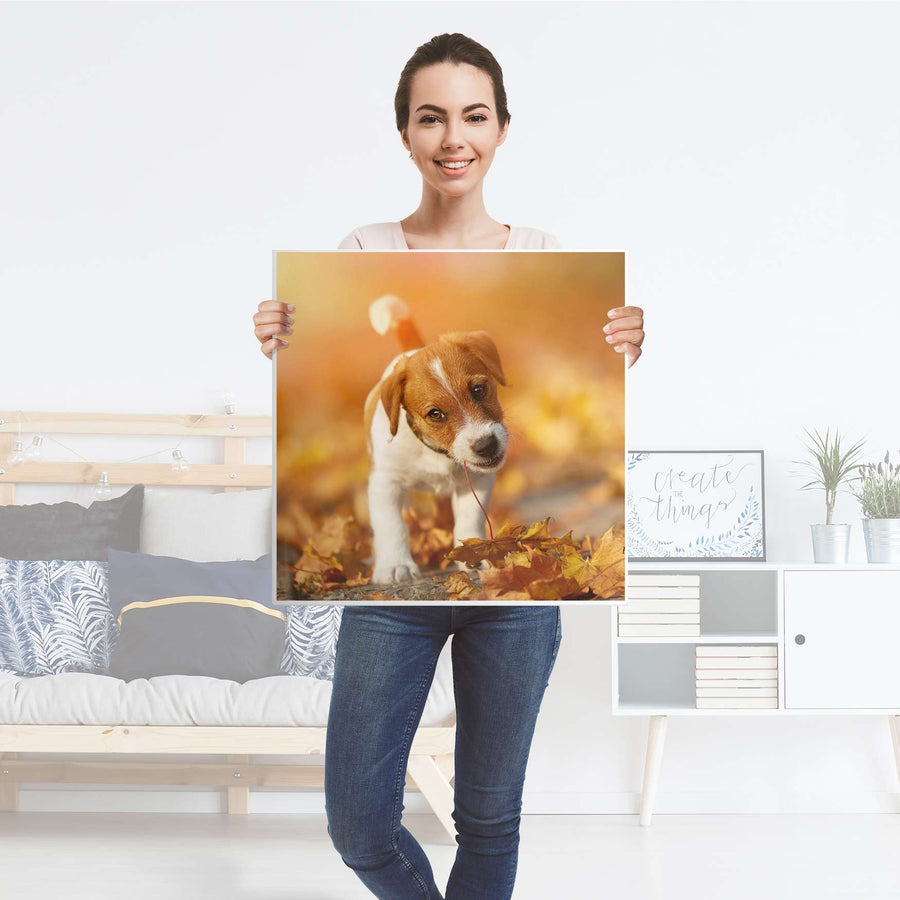 Selbstklebende Folie Jack the Puppy - IKEA Lack Tisch 78x78 cm - Folie