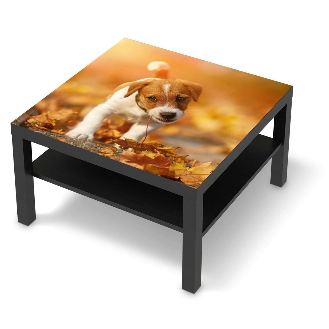 Selbstklebende Folie Jack the Puppy - IKEA Lack Tisch 78x78 cm - schwarz