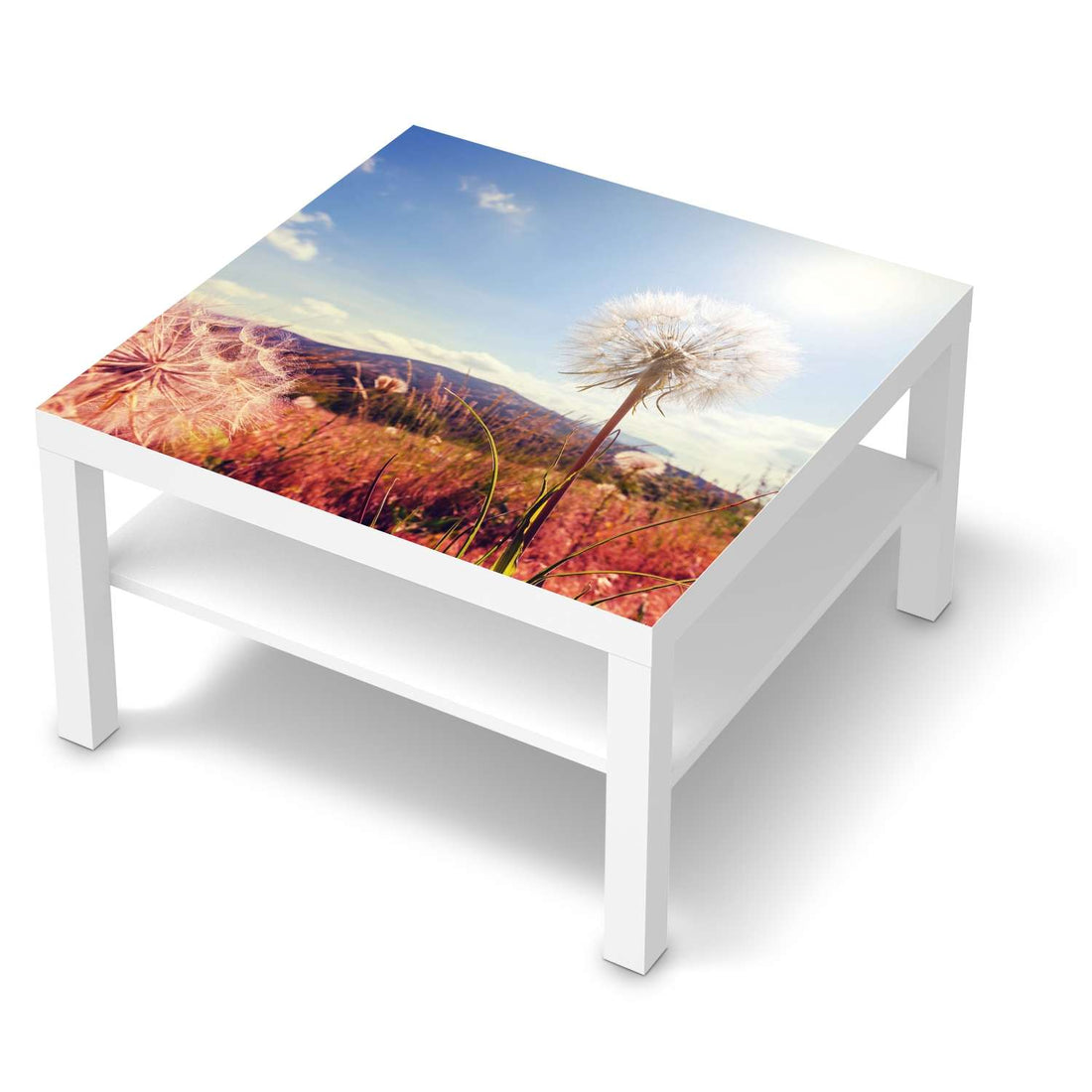 Selbstklebende Folie Dandelion - IKEA Lack Tisch 78x78 cm - weiss