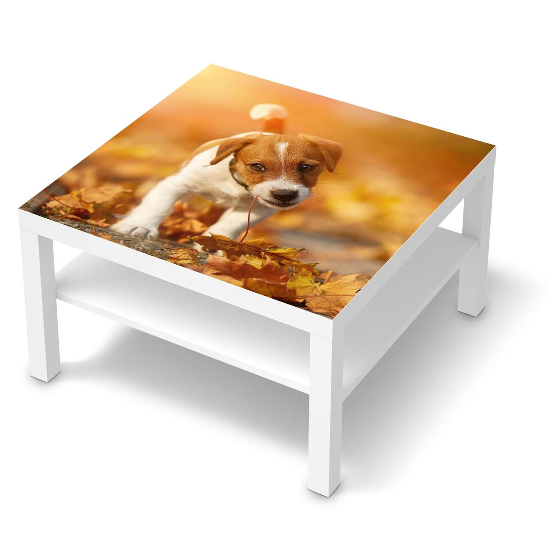 Selbstklebende Folie Jack the Puppy - IKEA Lack Tisch 78x78 cm - weiss