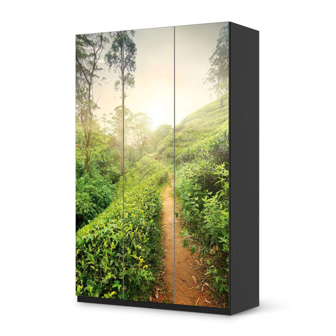 Selbstklebende Folie Green Tea Fields - IKEA Pax Schrank 236 cm Höhe - 3 Türen - schwarz